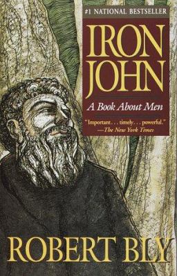 Iron John : a book about men