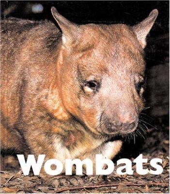 Wombats