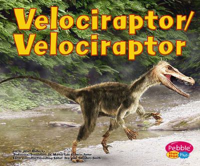 Velociraptor