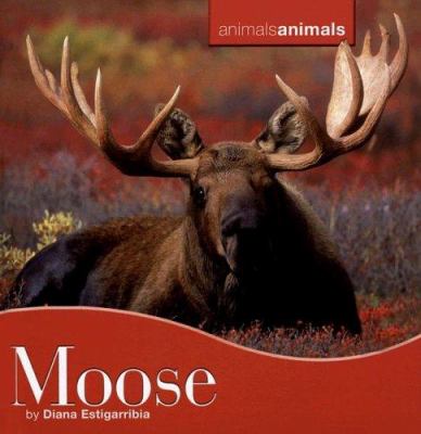 Moose