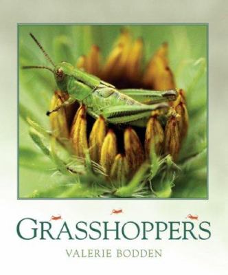 Grasshoppers