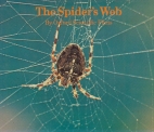 The spider's web