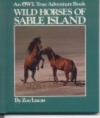 Wild horses of Sable Island