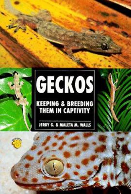 Geckos : keeping and breeding them in captivity