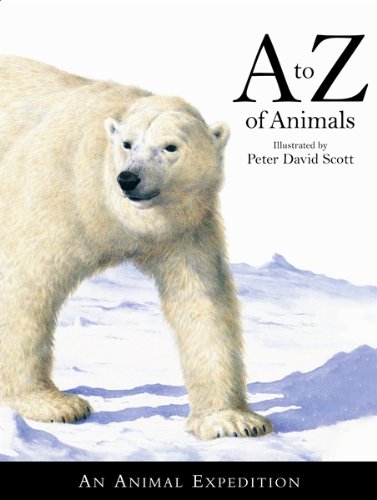 A to Z of animals : an animal expedition