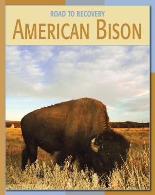 American bison