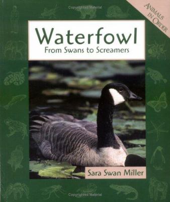 Waterfowl : from swans to screamers
