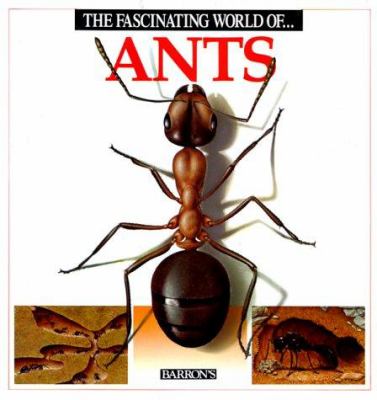 The fascinating world of-- ants