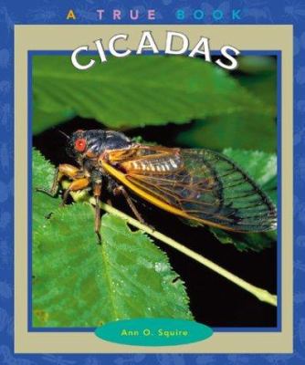 Cicadas