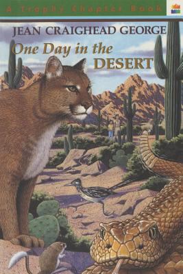 One day in the desert