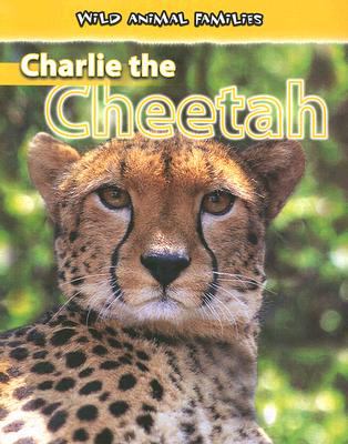 Charlie the cheetah