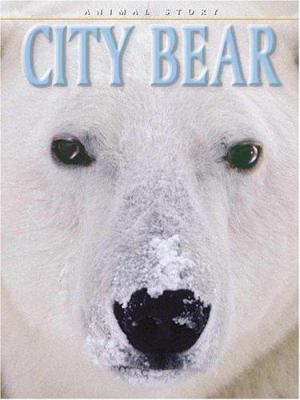 City bear