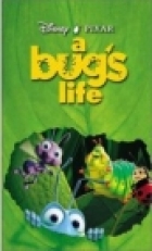 A bug's life