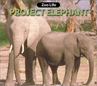 Project elephant