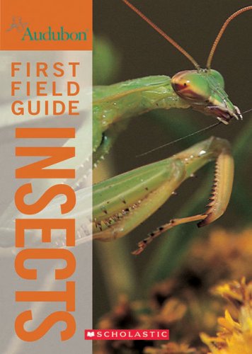 Audubon first field guide. Insects /