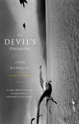 The devil's footprints : a novel