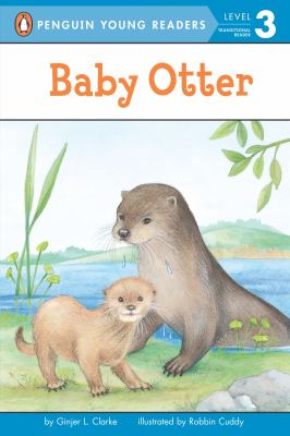 Baby otter