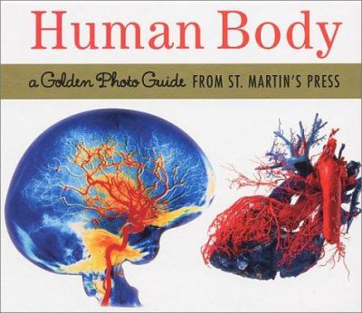 Human body