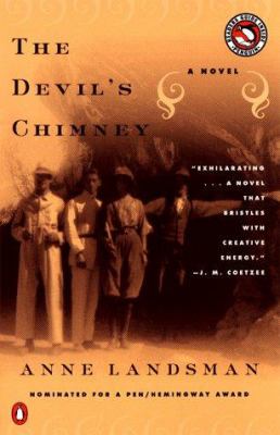 The devil's chimney : a novel