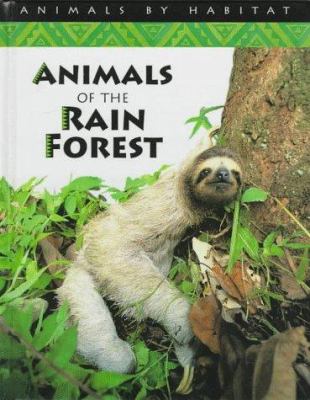 Animals of the rain forest