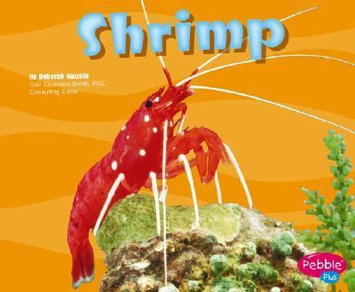 Shrimp