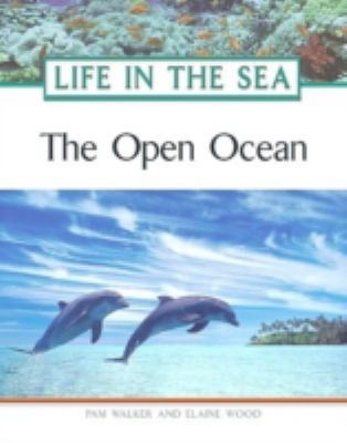 The open ocean