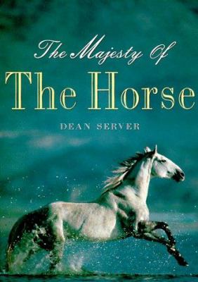 The majesty of the horse