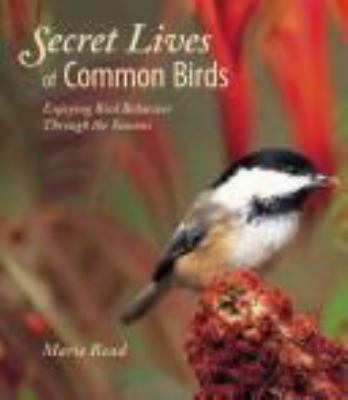 Secret lives of common birds : enjoying bird behavior through the seasons