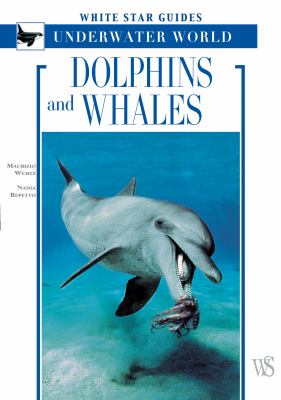 Dolphins and whales