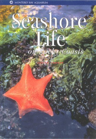 Seashore life on rocky coasts