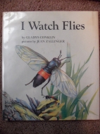 I watch flies