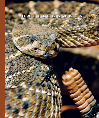 Rattlesnakes