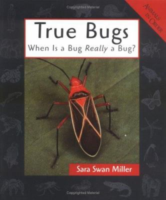 True bugs : when is a bug really a bug?