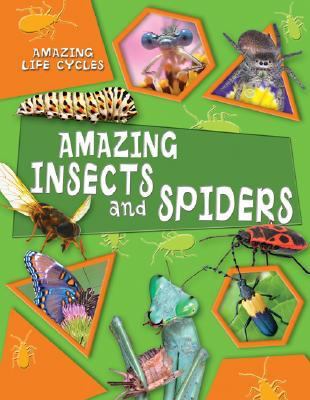 Amazing insects and spiders