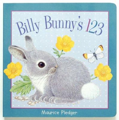 Billy Bunny's 123