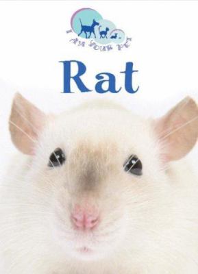 Rat