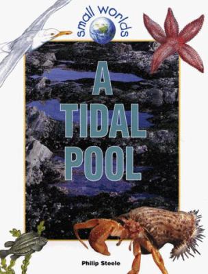 A tidal pool