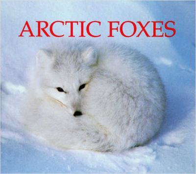 Arctic foxes