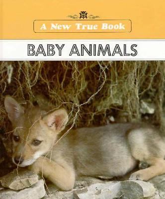 Baby animals