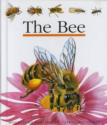 The bee