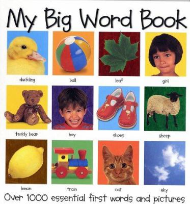 My big word book