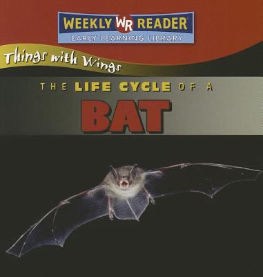 The life cycle of a bat