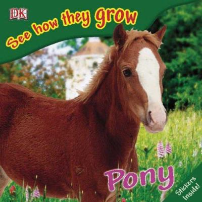 Pony