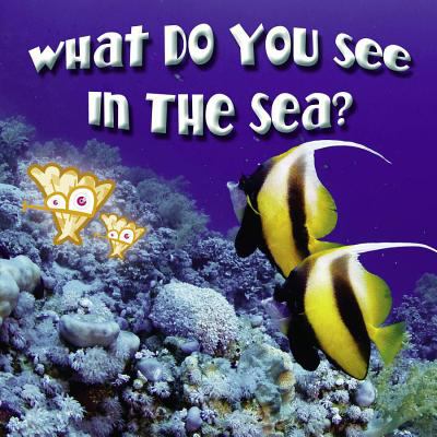 What do you see in the sea?