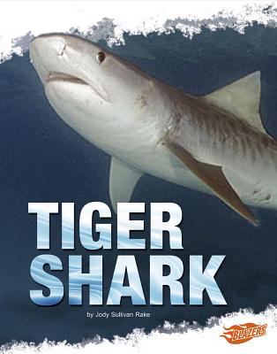 Tiger shark