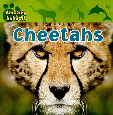 Cheetahs