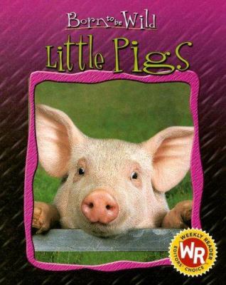 Little pigs