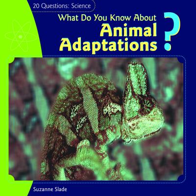 What do you know about animal adaptations?