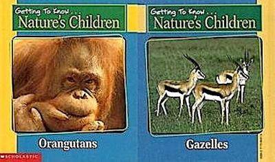 Orangutans ; Gazelles