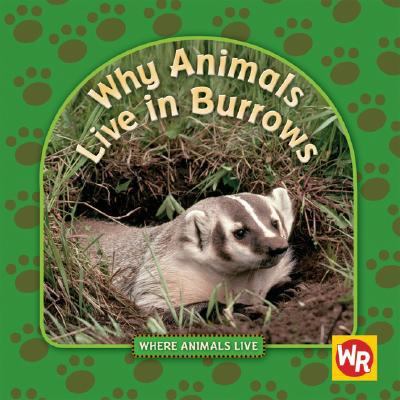 Why animals live in burrows